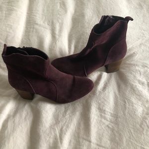 Steve Madden Hipster Maroon Booties